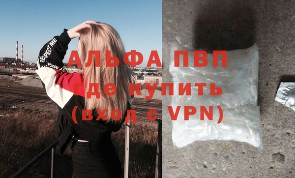 стафф Алзамай
