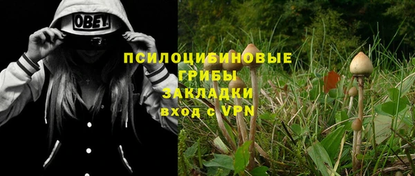 марки nbome Алексеевка